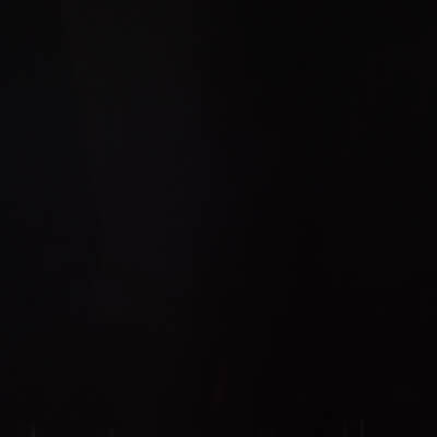 Napoleon Black Illusion Glass panels